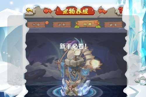 新手必看！