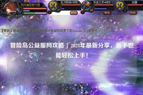冒险岛公益服网攻略 | 2024年最新分享，新手也能轻松上手！