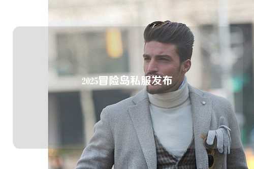 2025冒险岛私服发布