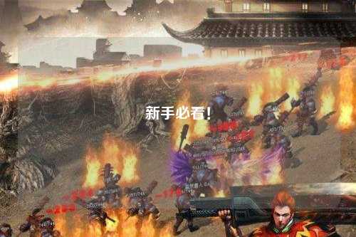 新手必看！
